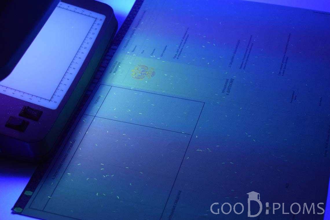 Приложение к Диплому Бакалавра с Отличием в Ультрафиолете период c 2013 по 2025 год - Полтаву