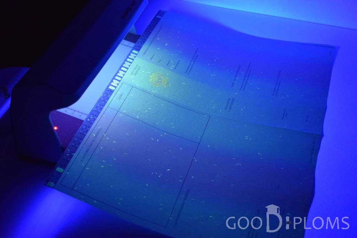 Приложение к Диплому Магистра в Ультрафиолете в период c 2014 по 2025 год - Полтаву