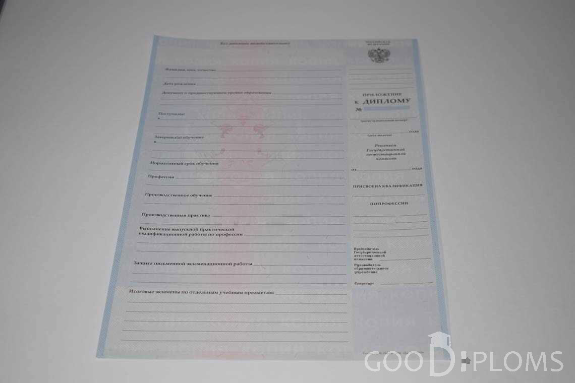 Приложение к Диплому Техникума с Отличием в период c 2008 по 2010 год - Полтаву