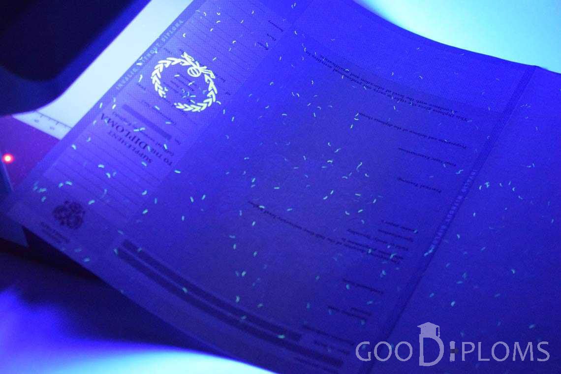 Приложение к Диплому Для Иностранных Граждан в Ультрафиолете - Полтаву