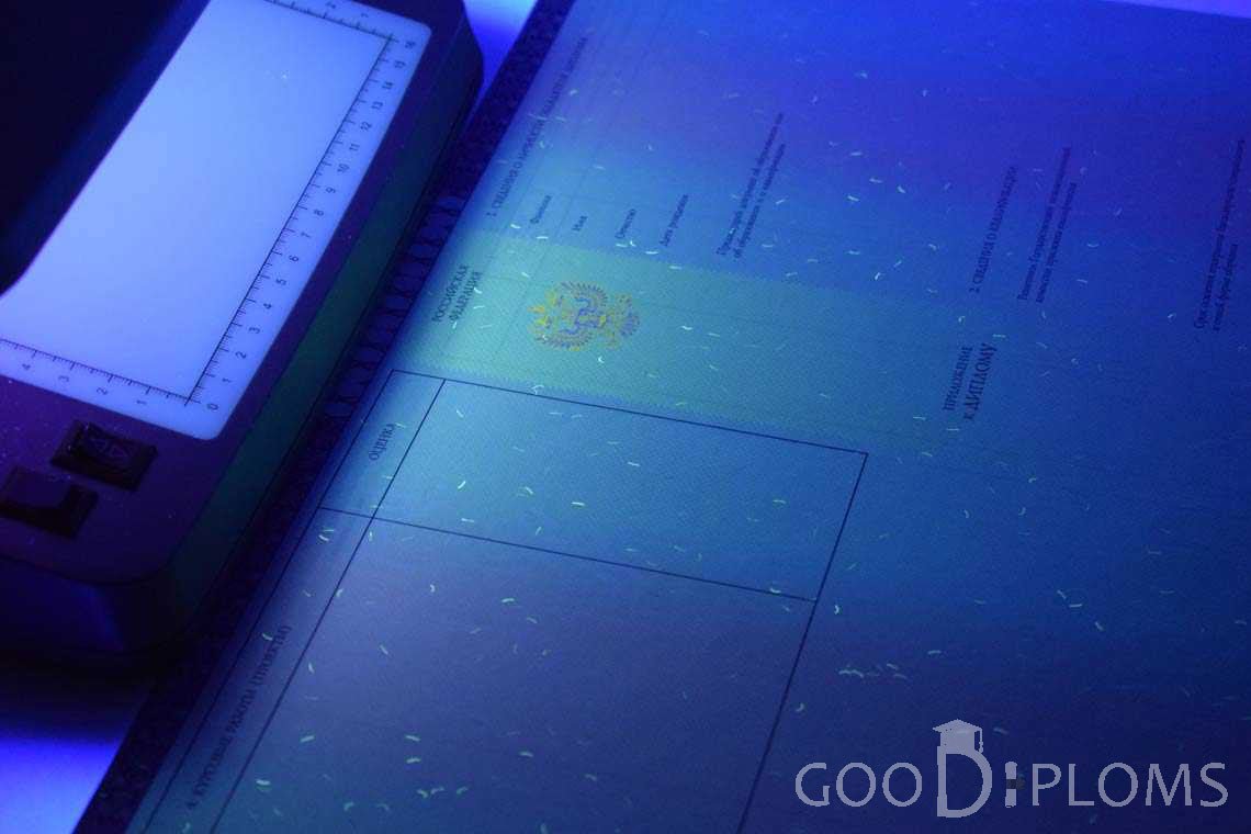 Приложение к Диплому о Высшем Образовании с Отличием в Ультрафиолете - Полтаву